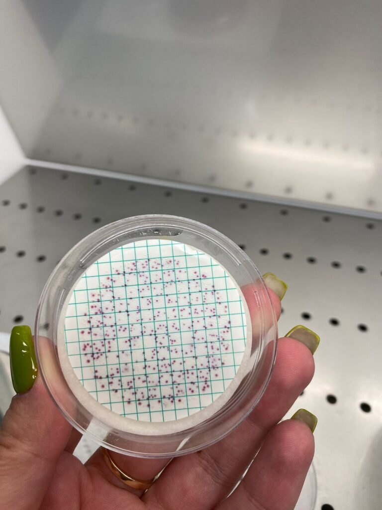 45549af0 11e8 4cf2 9bd6 94bcabae35f0