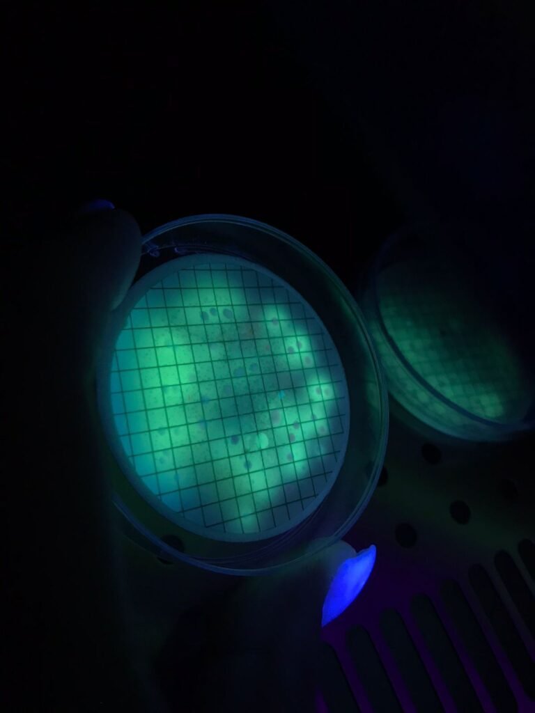 b78a733b 2d12 4d9e 8288 ec7b2cbd6583